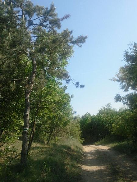 2017-05-20 16.13.52.jpg
